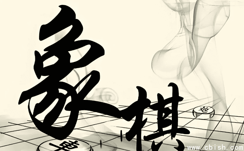 少年得到《0基础少年象棋课》