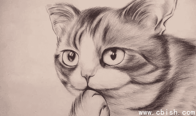 素描零基础直达四级课程