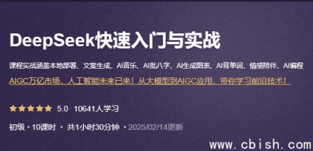 DeepSeek 快速入门与实战指南