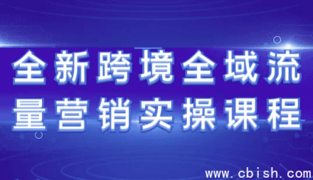 全新跨境全域流量营销实战课程
