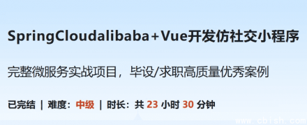 基于 Spring Cloud Alibaba 与 Vue 开发的仿社交小程序实战课程（含完整源码与课件）