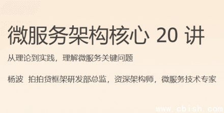 微服务架构核心二十讲