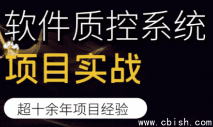 软件质量控制系统项目实战
