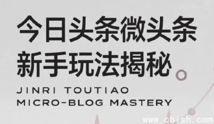 今日头条微头条新手入门指南：每日高收益实操教程，轻松变现避坑攻略