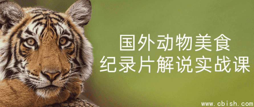 国外动物美食纪录片解说实战课