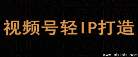 视频号线上课程：打造轻量级个人IP（轻IP）的实战指南