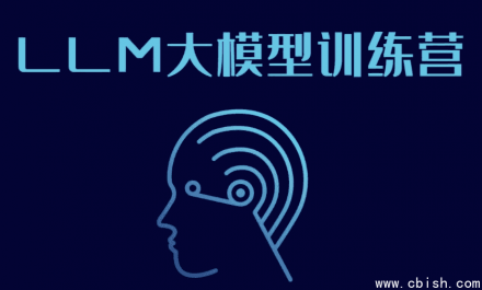 LLM大模型训练营：深入掌握大型语言模型的开发与应用