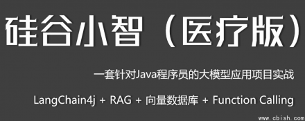 Java企业级大模型应用项目：小智医疗——基于LangChain4J的实战开发