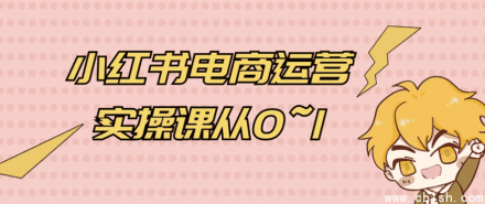 小红书电商运营实战课：从0到1手把手教学
