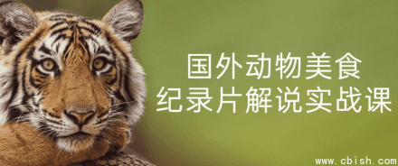 国外动物美食纪录片解说实战课程