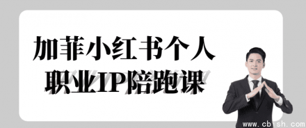 加菲小红书个人职业IP打造陪跑课程