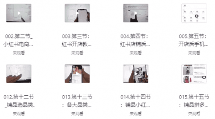 小红书高级电商实战课程：零基础新手手把手教学