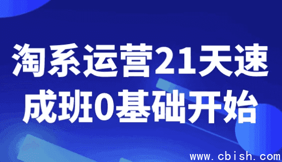 淘系运营21天速成班0基础开始