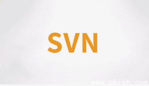 SVN视频课程 – 带源码课件