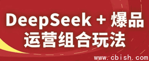 DeepSeek+爆品运营组合玩法