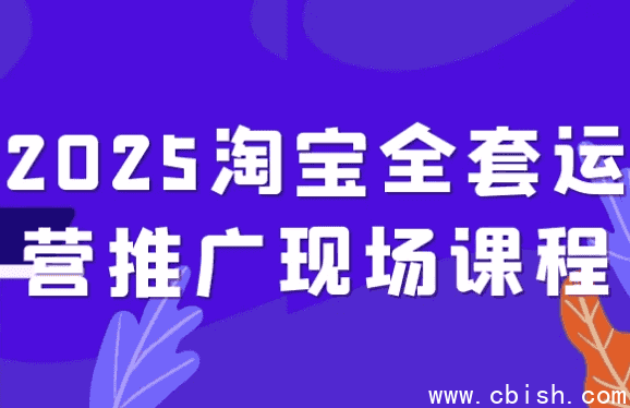 2025淘宝全套运营推广现场课程