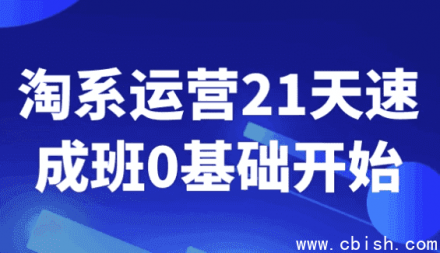 淘系运营21天速成班：零基础入门
