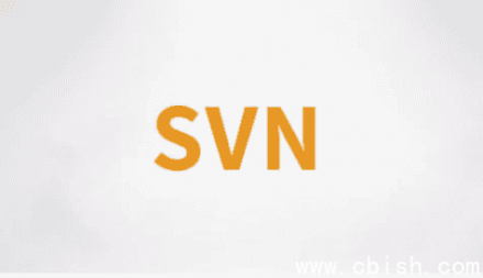 SVN视频教程 – 含源码与课件
