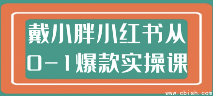 戴小胖小红书从0到1打造爆款实战课程
