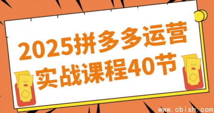 2025拼多多运营实战课程（共40节）