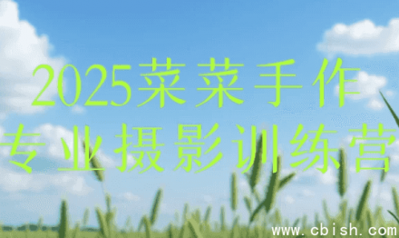 2025 菜菜手作专业摄影训练营