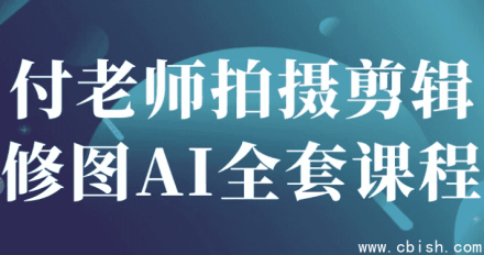 付老师AI摄影后期全流程课程：拍摄、剪辑与修图一体化教学