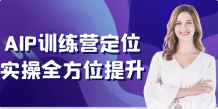AIP训练营：全方位实战定位技能提升课程