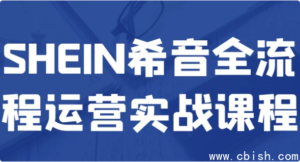 SHEIN希音全流程运营实战课程