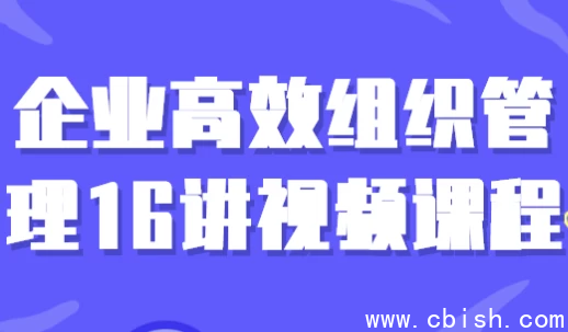企业高效组织管理16讲视频课程