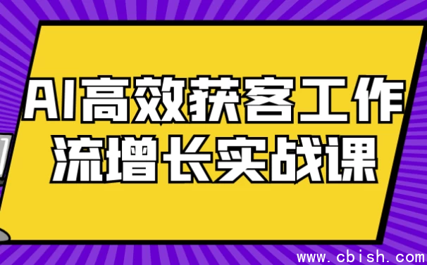 AI高效获客工作流增长实战课