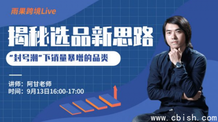 2025年跨境电商选品实战案例分析——阿甘精选策略分享