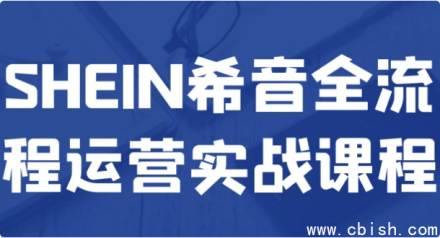 SHEIN希音全流程运营实战培训课程