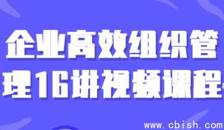 《企业高效组织管理十六讲》视频课程