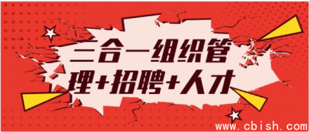 三合一一体化平台：组织管理、招聘与人才发展全面整合