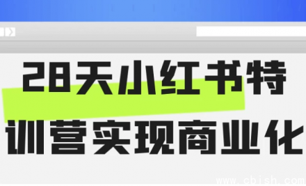 28天小红书特训营：手把手带你实现内容变现与商业转化