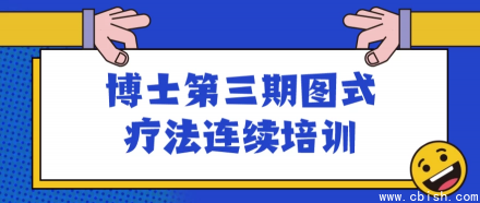 图式疗法连续培训第三期博士班