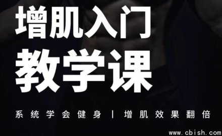增肌新手入门指导课程