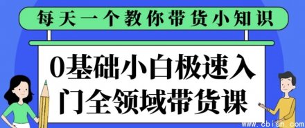 零基础小白快速入门全领域带货实战课程