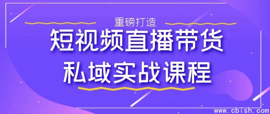 短视频直播带货私域实战课程