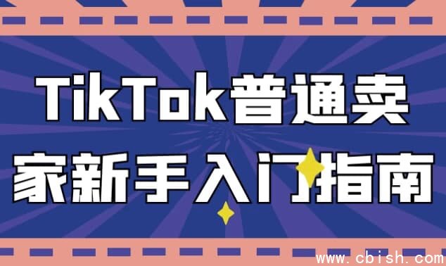 TikTok普通卖家新手入门指南
