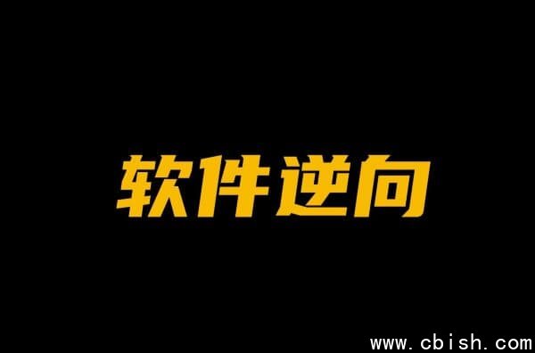 天野：软件逆向破解实战29期，基础到实战