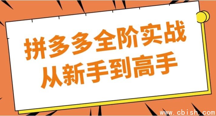 拼多多全阶实战从新手到高手