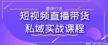 短视频直播带货私域流量实战运营课程