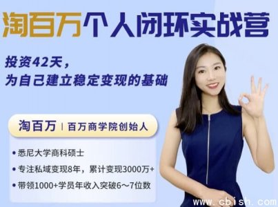 42天个人商业闭环实战营：从方法论到思维模式，系统构建你的商业全局观