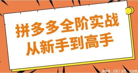 拼多多运营实战：从新手入门到高手进阶全攻略