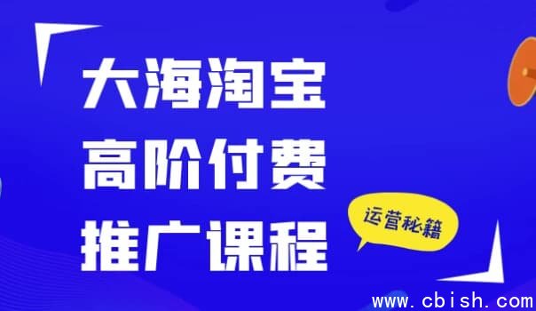 大海淘宝高阶付费推广课程