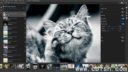 NeeView v42.5 中文绿色版 —— 高效实用的图片浏览工具