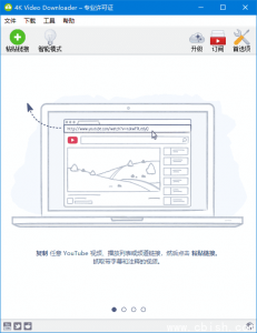 4K Video Downloader v4.33.5.0172 多语言便携版（4K视频下载器）