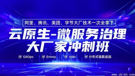 云原生微服务治理大厂冲刺班第56期——附带源码与课件