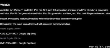 谷歌旗下AI安全代理Big Sleep再立功，于Safari发现5项安全漏洞